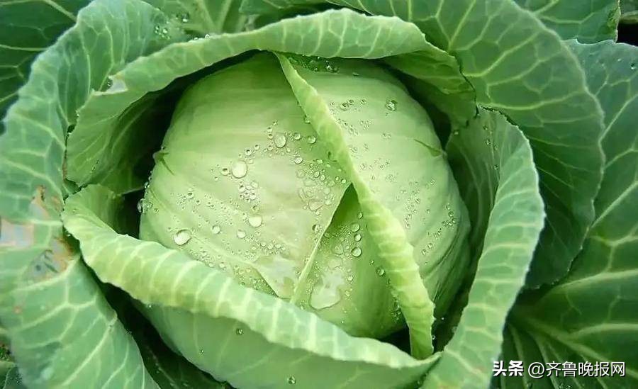 鑲插彂澶村彂鍑烘补,鍑烘补鑴卞彂鑲插彂浜у搧