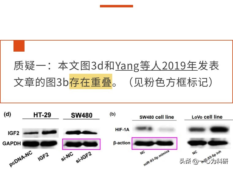 与他人作品内容相似,与他人论文雷同