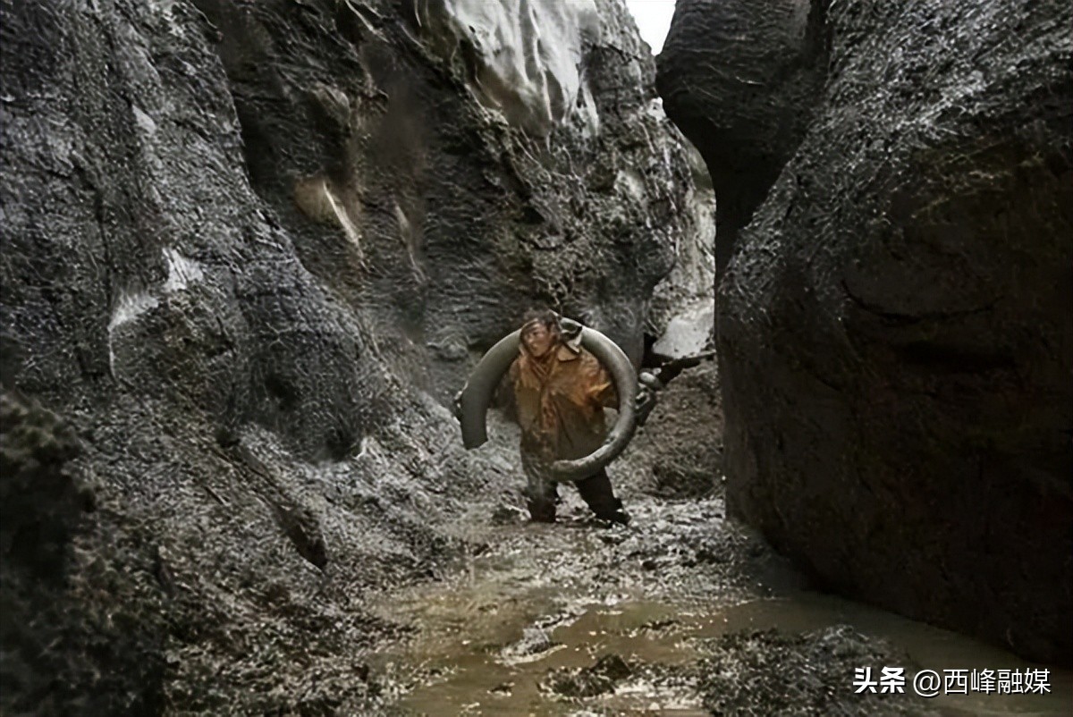 为什么取象牙必须杀死大象,大象为什么割掉象牙就死了