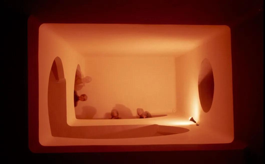 西班牙鬼才建筑师的梦幻世界,西班牙鬼才