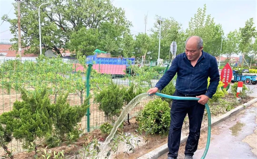 “植”此青绿，大家洼街道绘就生态底色