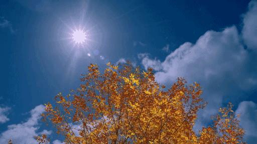 羽绒被太阳晒能杀菌吗,羽绒被洗后晒干有黄渍