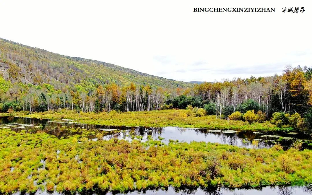 秋天大兴安岭最美的地方,秋天美丽的大兴安岭