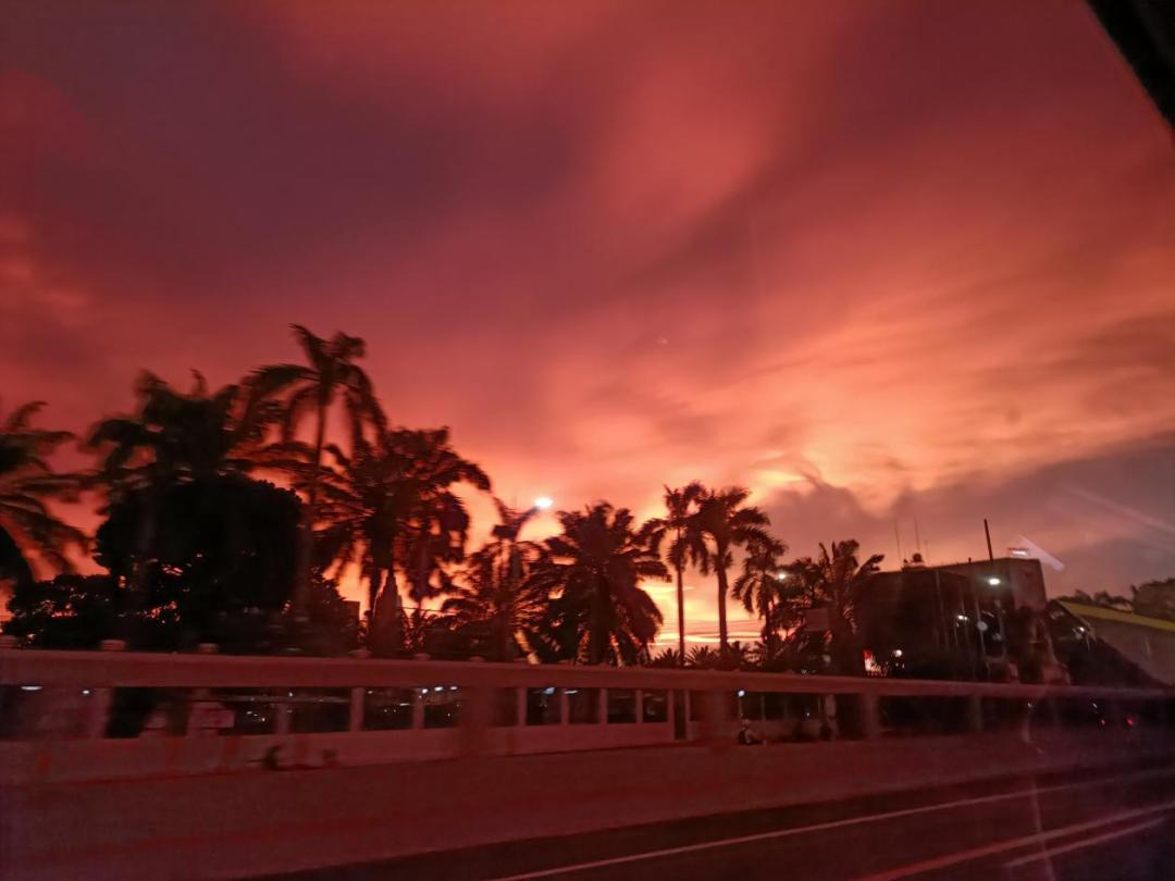 小杨哥在东南亚,小杨哥和老罗连麦