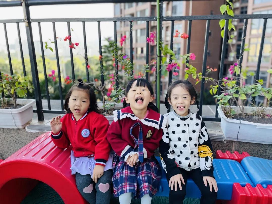 诺亚舟幼儿园主题,深圳诺亚舟翠岭华庭幼儿园路线