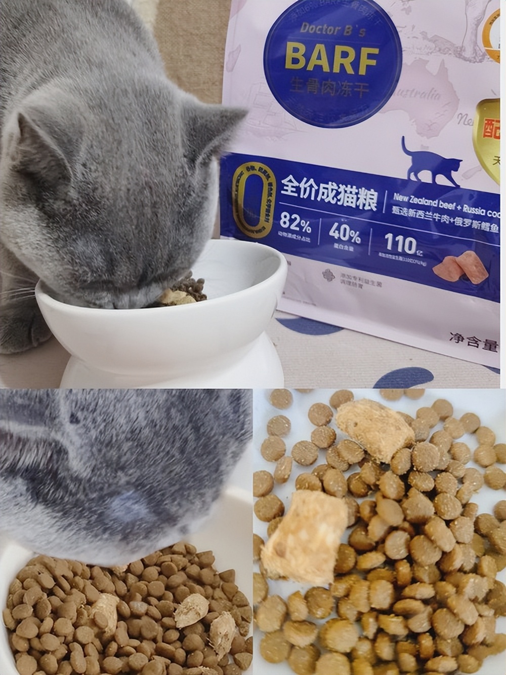 猫瘦怎么治,猫皮包骨