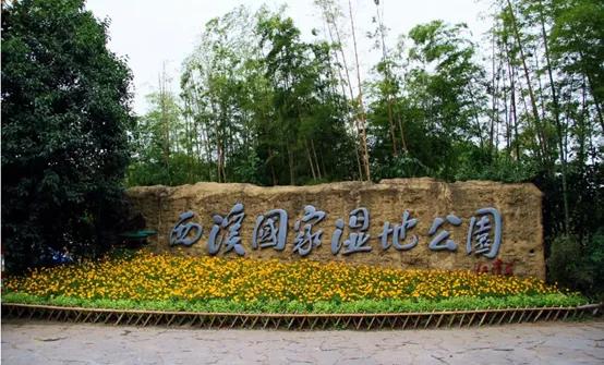 杭州好玩的地方和景点排行榜,杭州周边好玩的地方景点免费