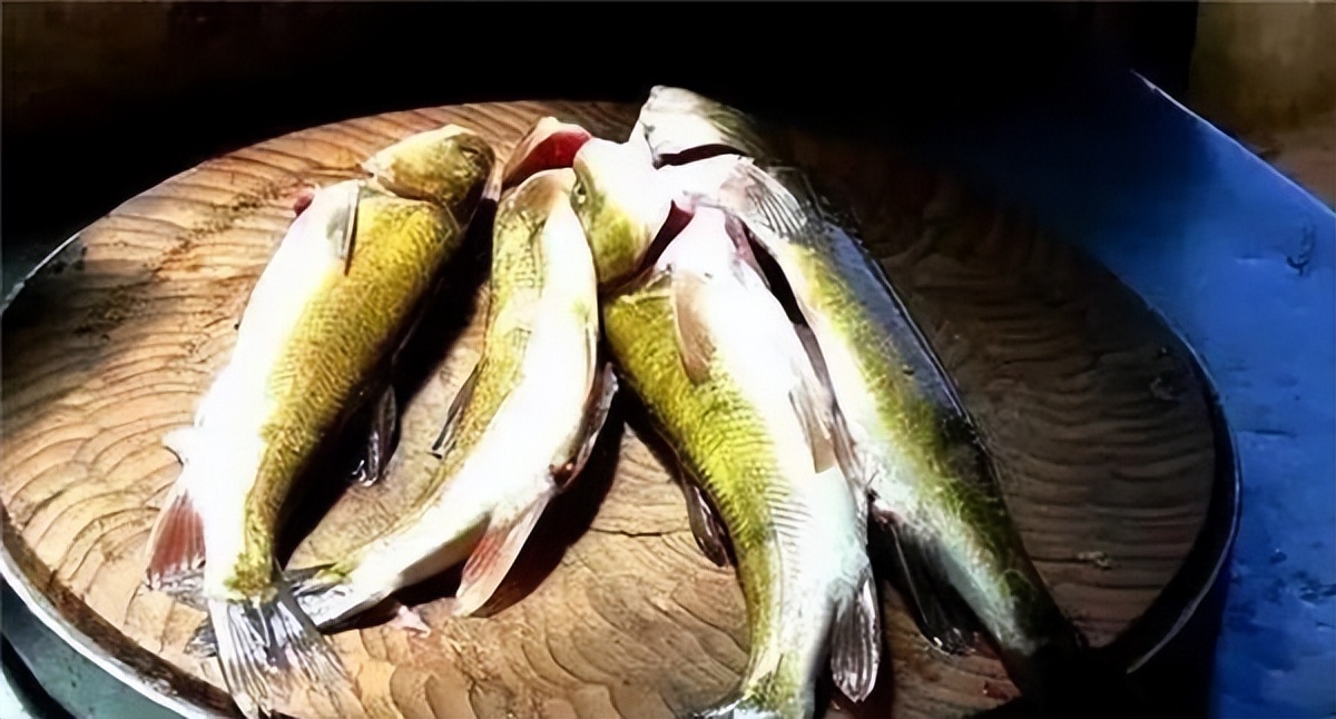 淡水鱼排行榜前十名价格,国内常见淡水鱼价格排行