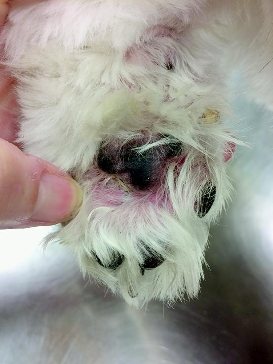 瘙痒症诊疗指南,瘙痒症怎么查病因