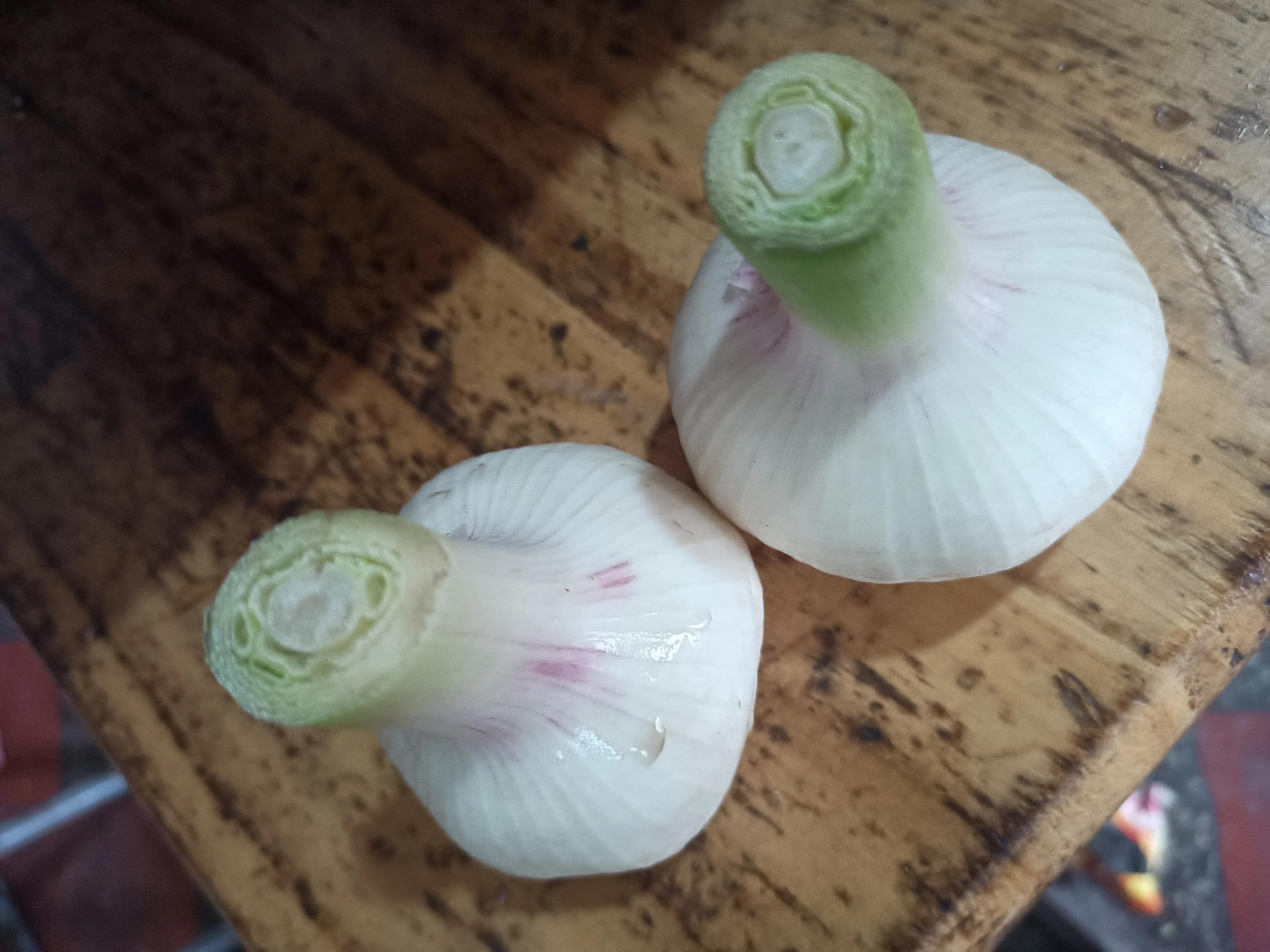 我妈说我不会做饭怎么办,我妈说女人不会做家务