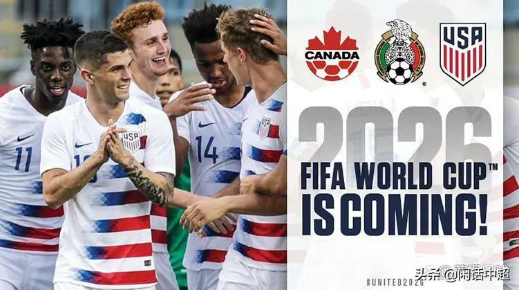 越南国足备战世界杯,越南国足主力水平