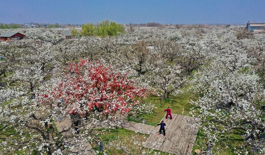 扒一扒郭姓起源和郭姓祖先的故事,扒一扒前世今生
