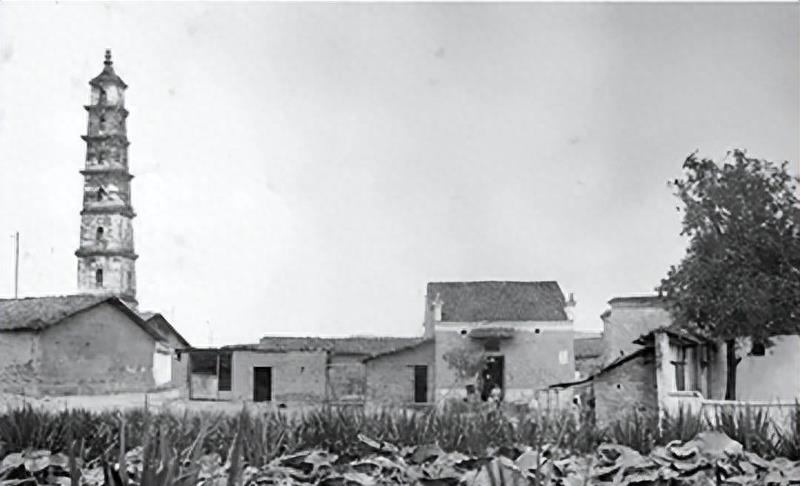 广西一犯人被枪决,广西一罪犯被押往刑场枪决