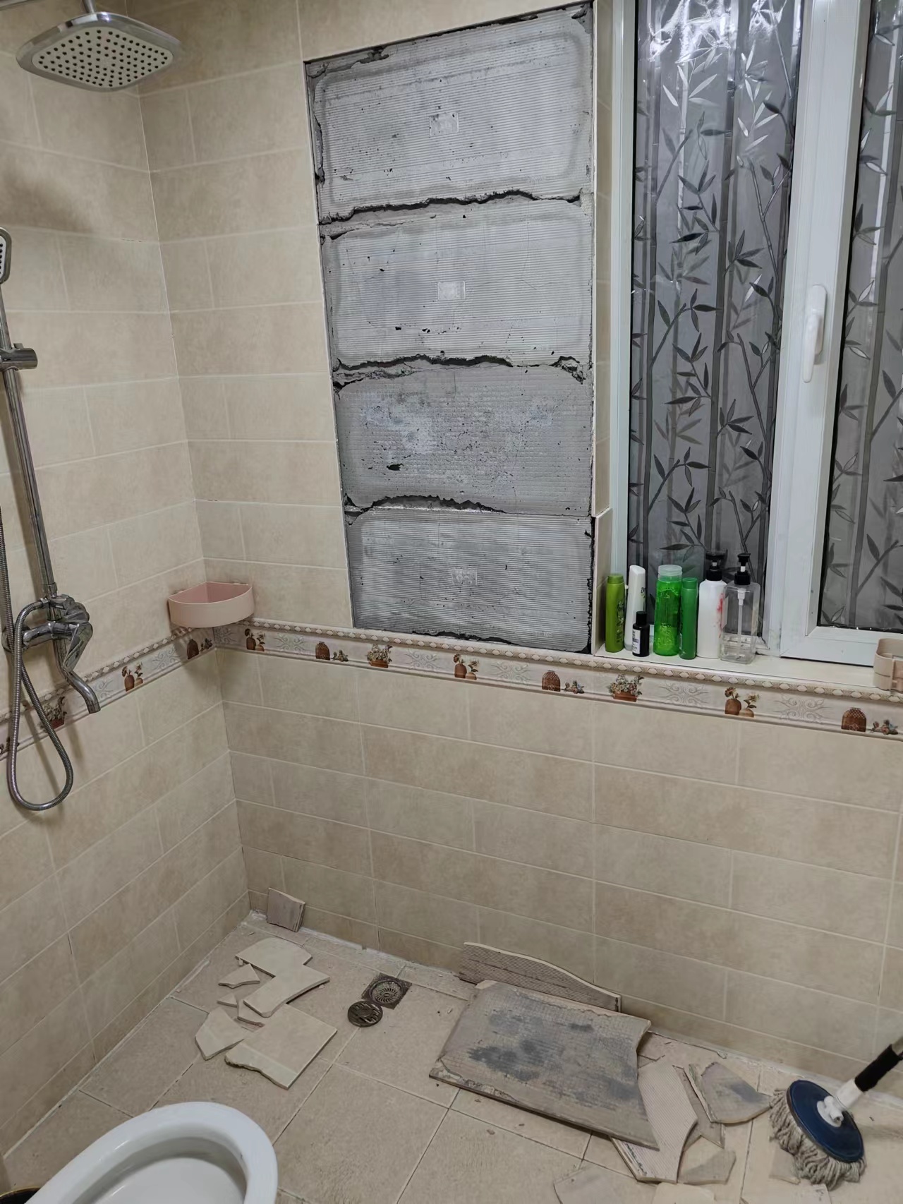 诚信体系与社会治理的重要性,诚信的建设需完善社会信用体系