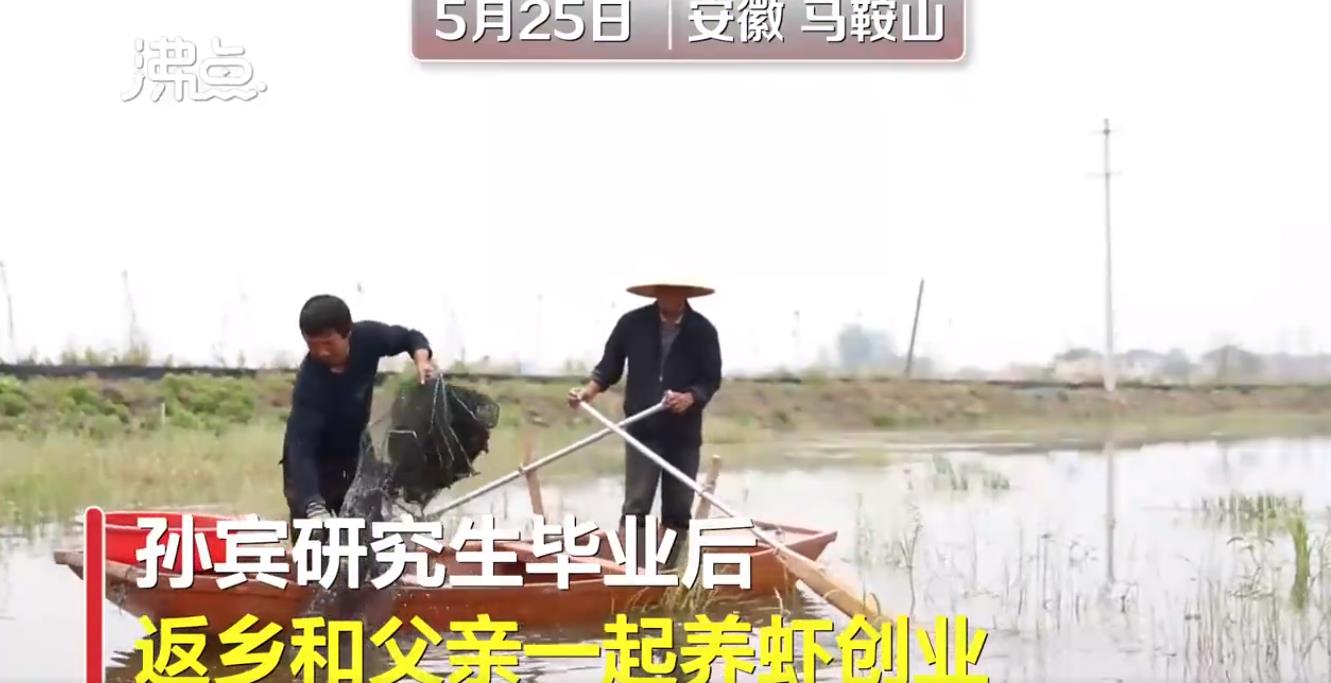 大学生回乡创业养殖小龙虾,大学生养草鱼致富一年卖100多万