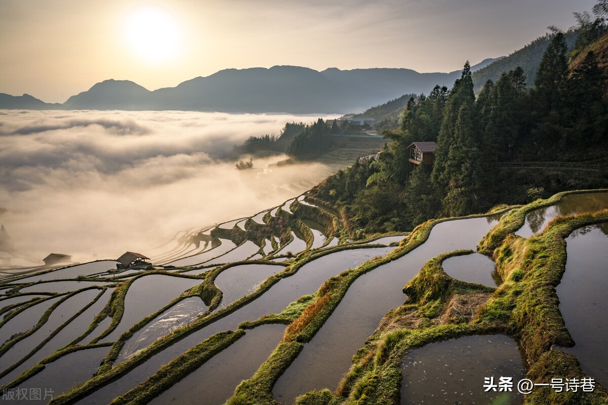 唐朝诗人李贺的这首诗，有多少人读过？每一句都堪比画卷