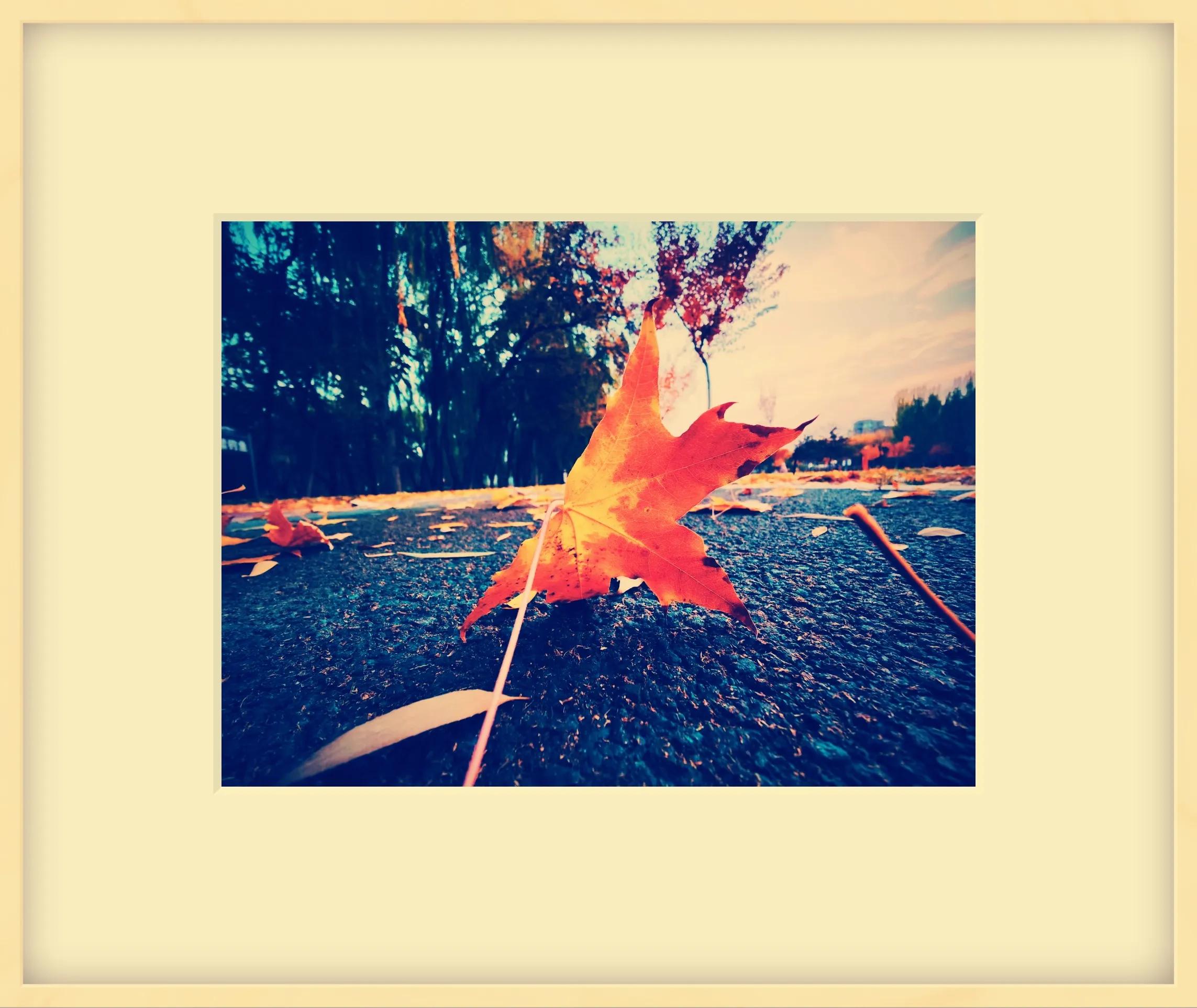 2023年普通人该做什么生意,2023年做什么生意有前途