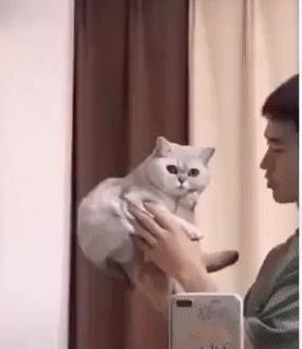 衣服穿大了幽默的段子,衣服小了幽默回复