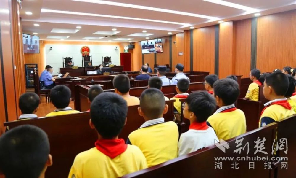 辛巴乡村振兴,辛巴探索公益助农之路