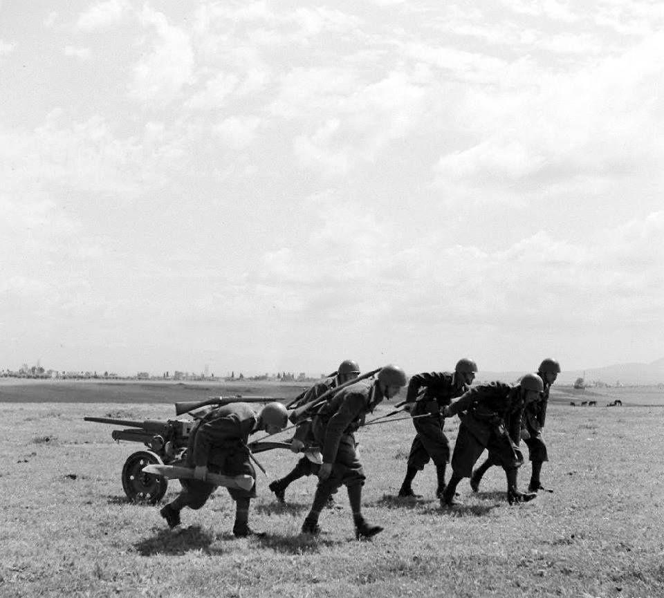 二营长的意大利炮到底长什么样子,二连长的意大利炮是怎么来的