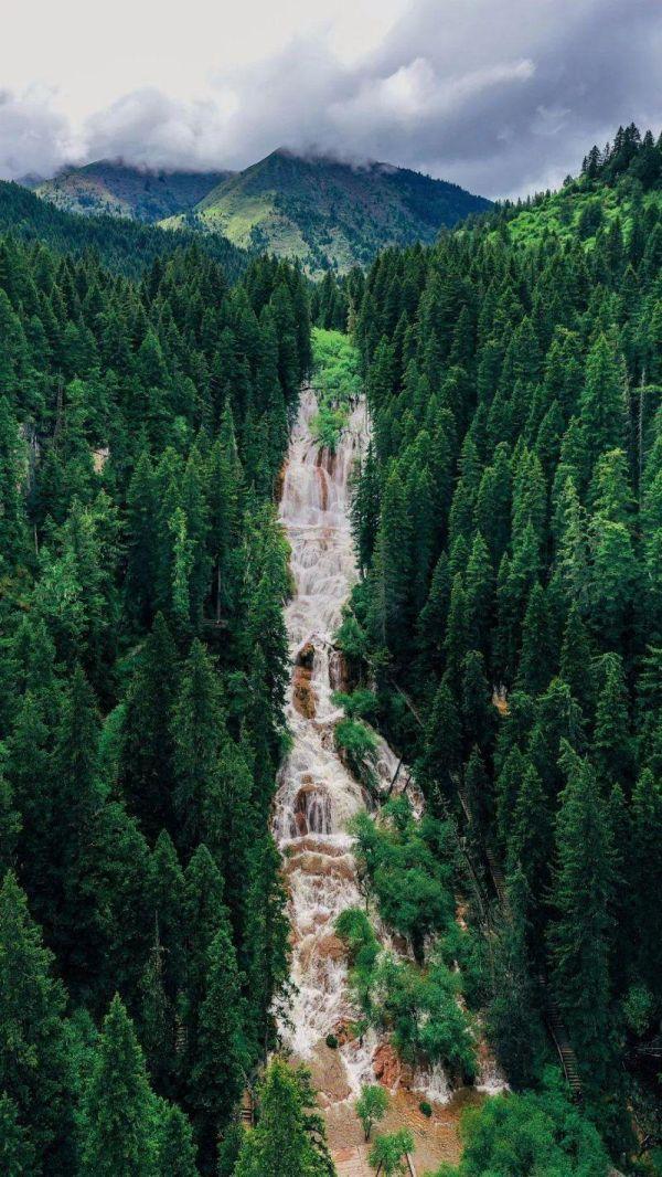 微生物菌群最新研究进展,一号菌群科研新成果