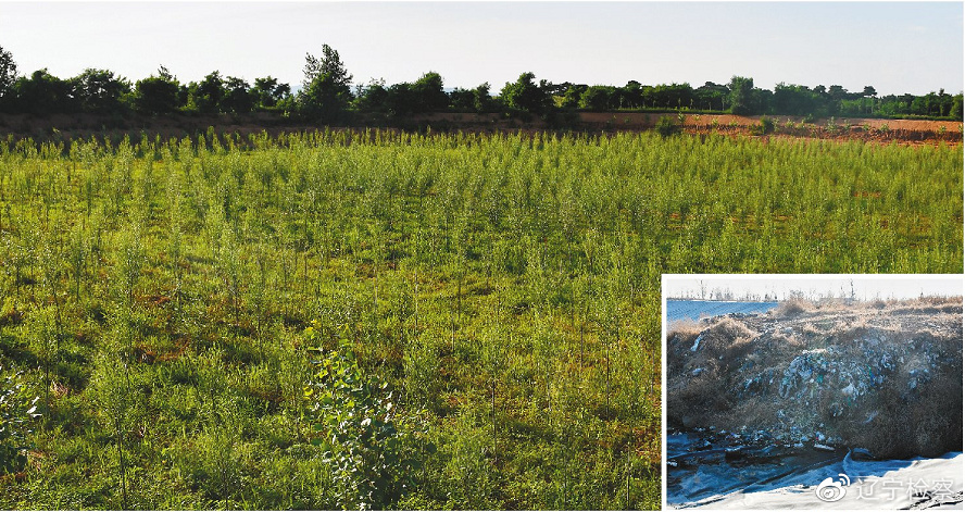 检察建议社会综合治理中的作用,社会治理检察建议的经验与成效