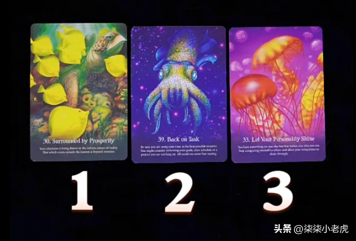 塔罗牌未来发展,塔罗牌测试未来能变美吗