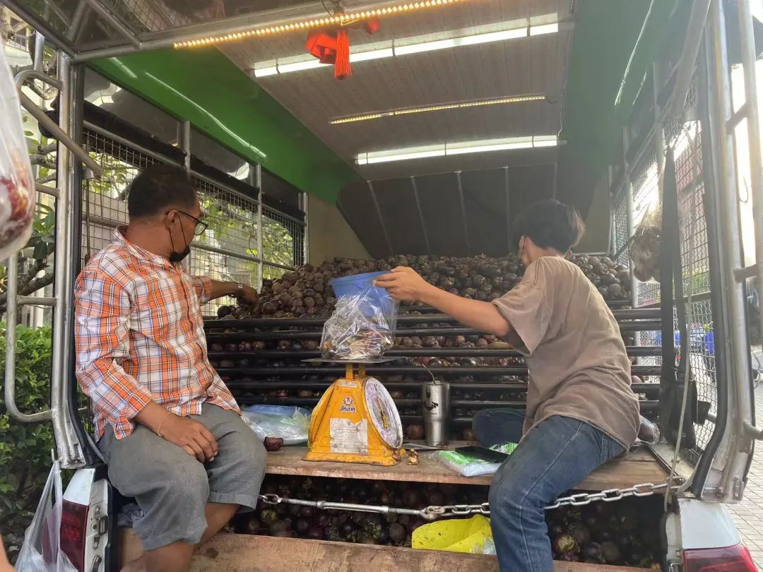 鍘绘嘲鍥芥浖璋峰拰鑺彁闆呯殑鏀荤暐,鍘绘嘲鍥界帺杞浖璋疯姯鎻愰泤