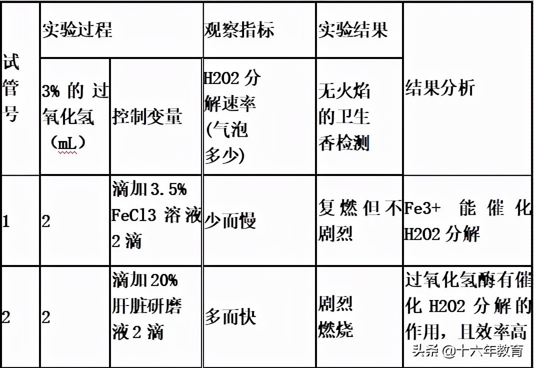 高中生物测验考什么,高中生物必考实验有哪些