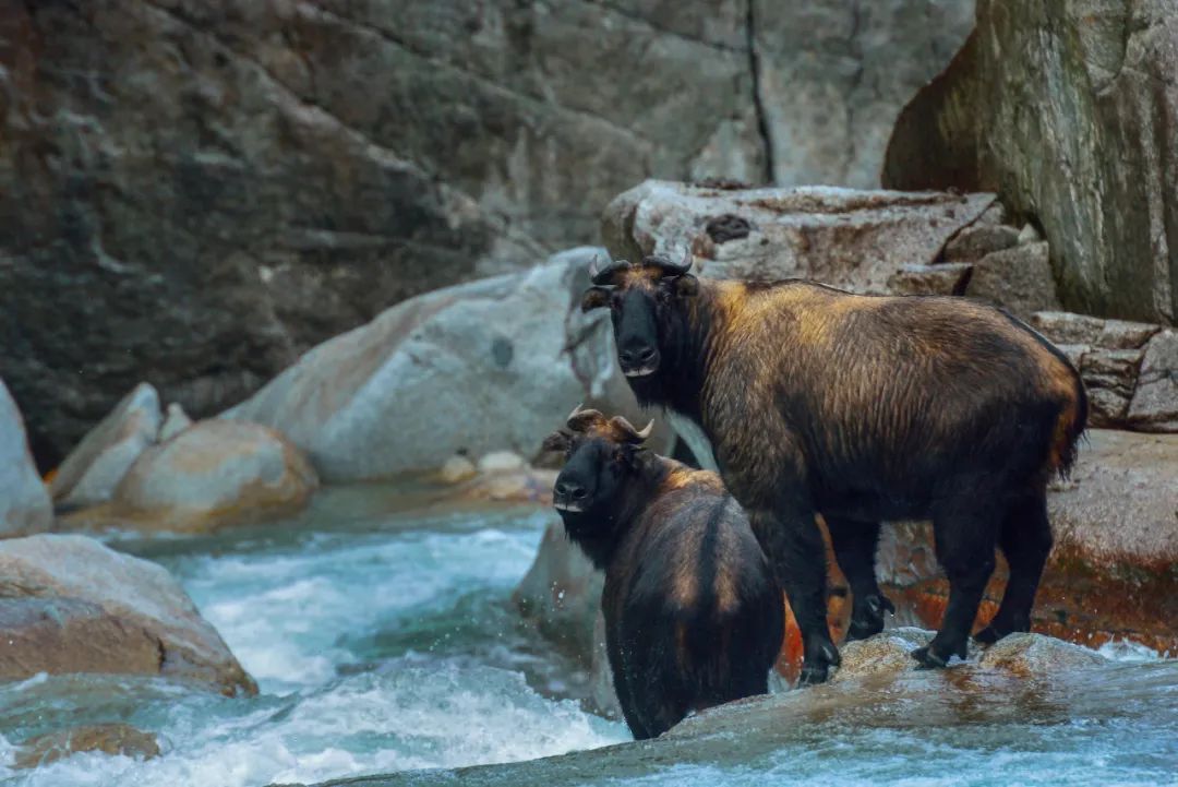 昆明七彩云南怎么样,七彩云南避暑家园