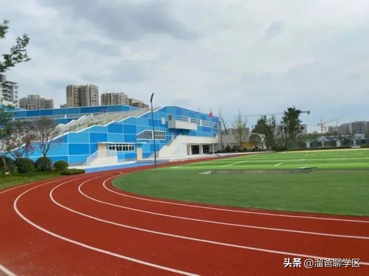 草堂子美,草堂子美怎么样