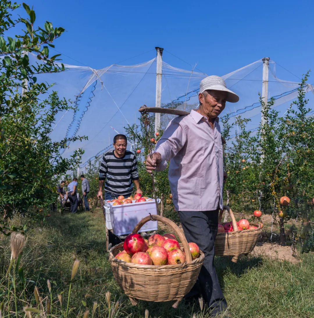 问政潼关县政府，今年将为群众办哪些事实？