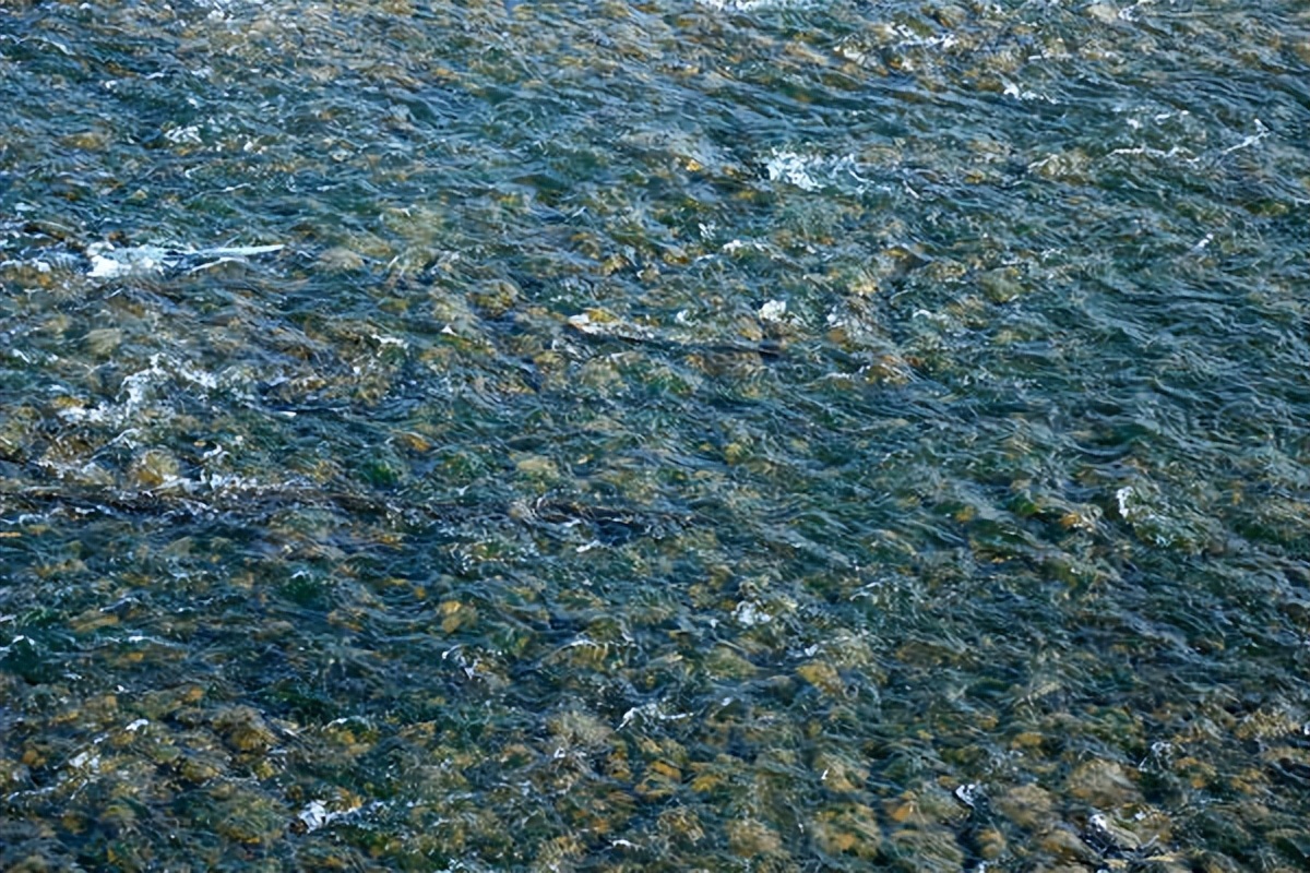 洛阳市汝阳的图片,汝阳县城美景