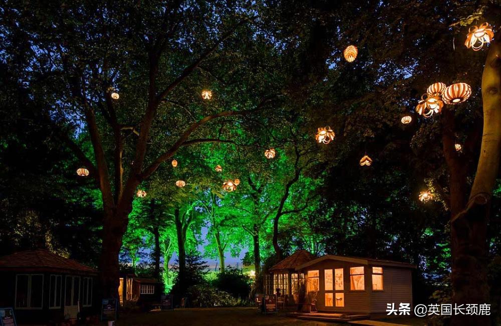 2020年切尔西花展抢先看,2023年切尔西花展