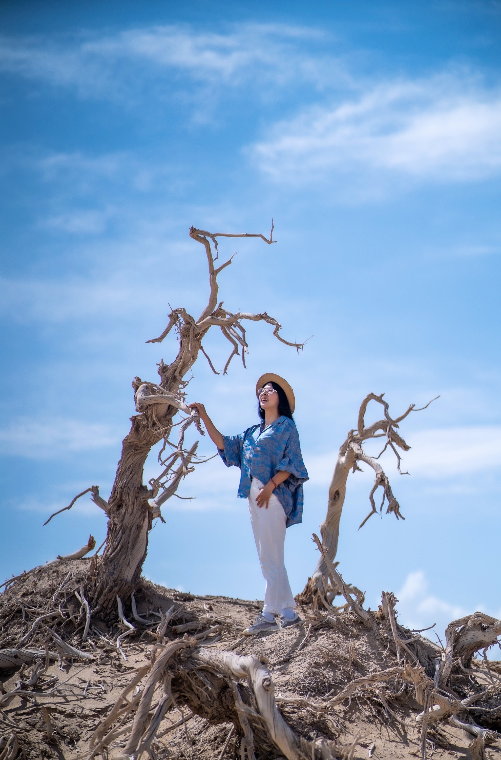 实拍格尔木胡杨林，海拔2800米，连绵1700亩，苍凉辽阔，拍照超酷