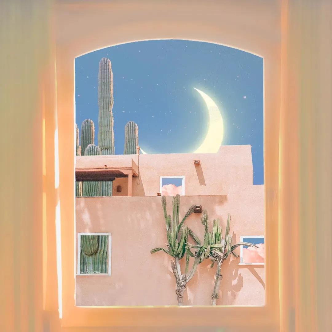 背景图优雅生活,生活随意的背景图高级感