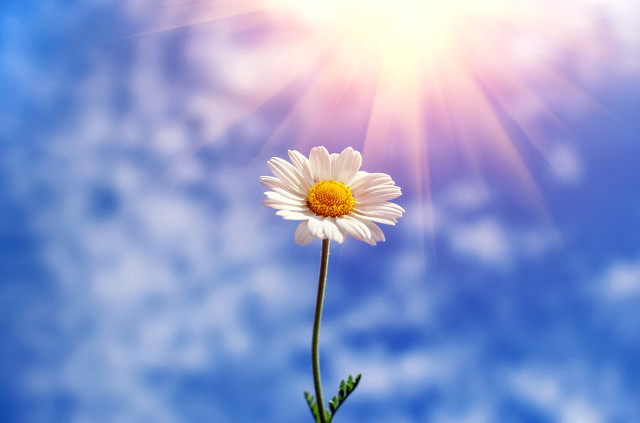 生活中不值钱的8件事,你生活花费时间最多的5件事