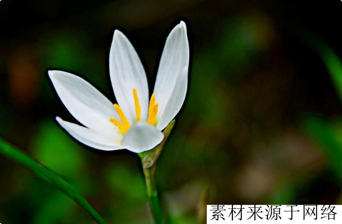 家里有亲人过世三年的禁忌,过世父亲的遗物留不留