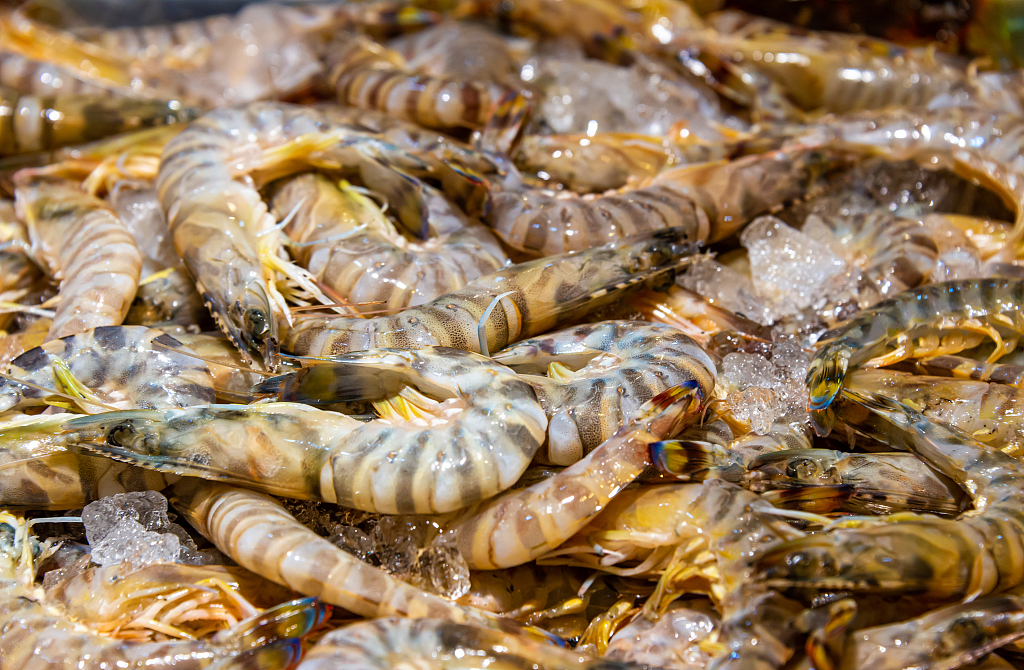 人间烟火味，全在这些大排档里