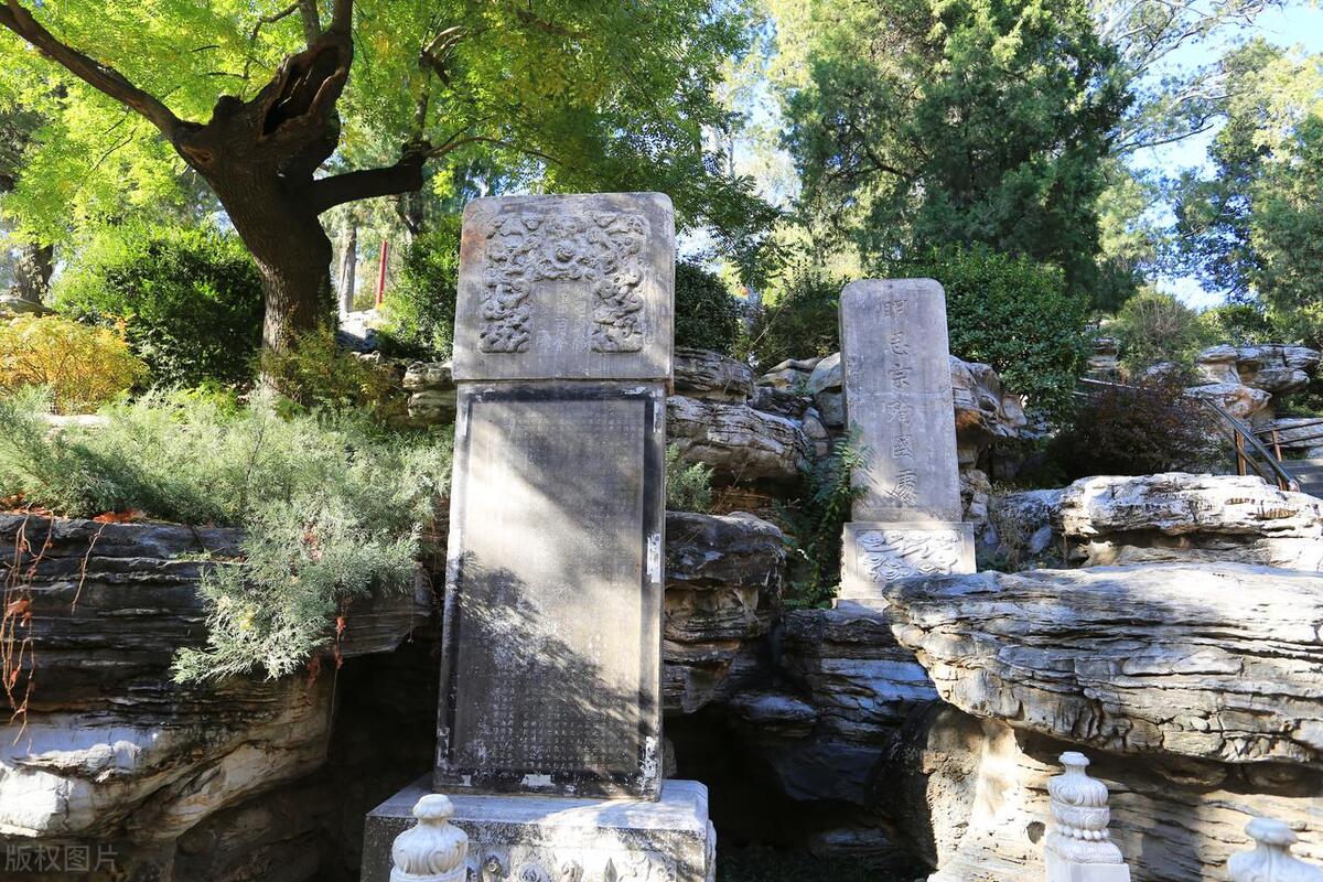 金朝皇帝完颜,完颜承麟算金朝最后一个皇帝吗