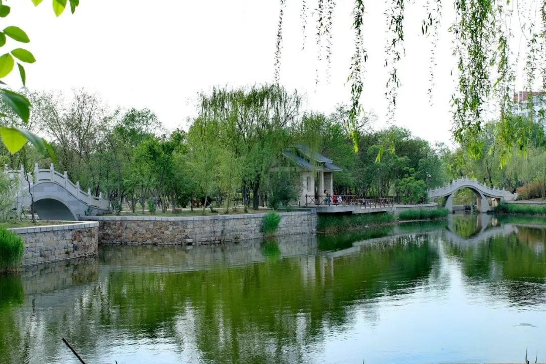 天津周边可生火的露营地,私藏天津小众露营地