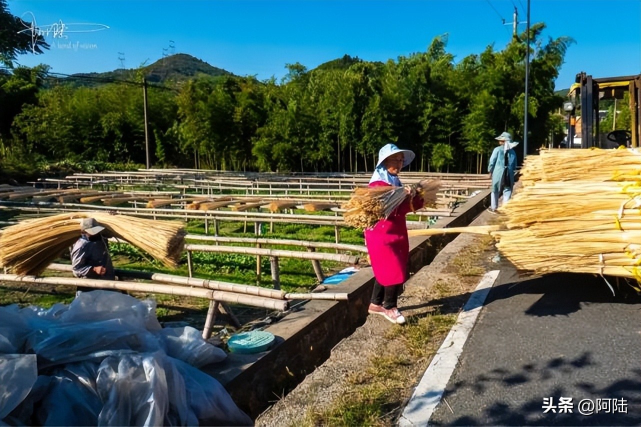 无意间路过太公堂村,邂逅了余杭“竹”功夫,人文风景挺不错