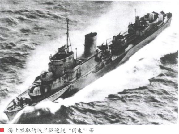 漂泊的鱼完整版,漂泊的鱼鹰