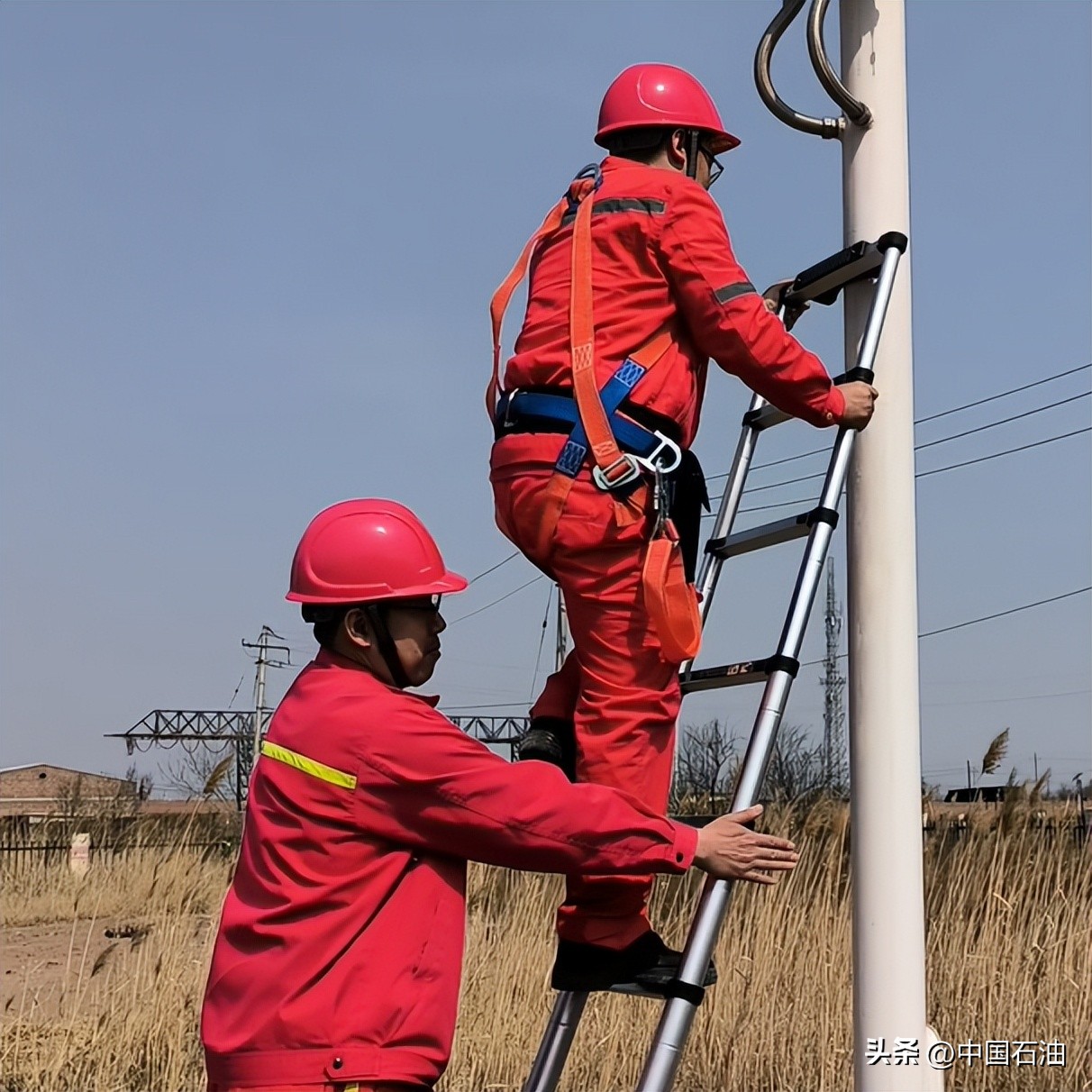 特别策划案例,特别策划系列
