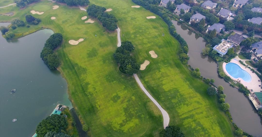 一个橄榄球球场,欧洲最有气氛的球场