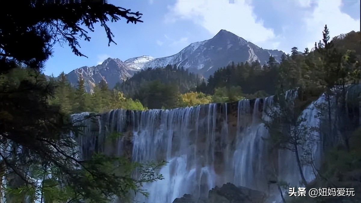 这几部口碑爆棚的宝藏纪录片,国庆孩子必看的8部神级纪录片