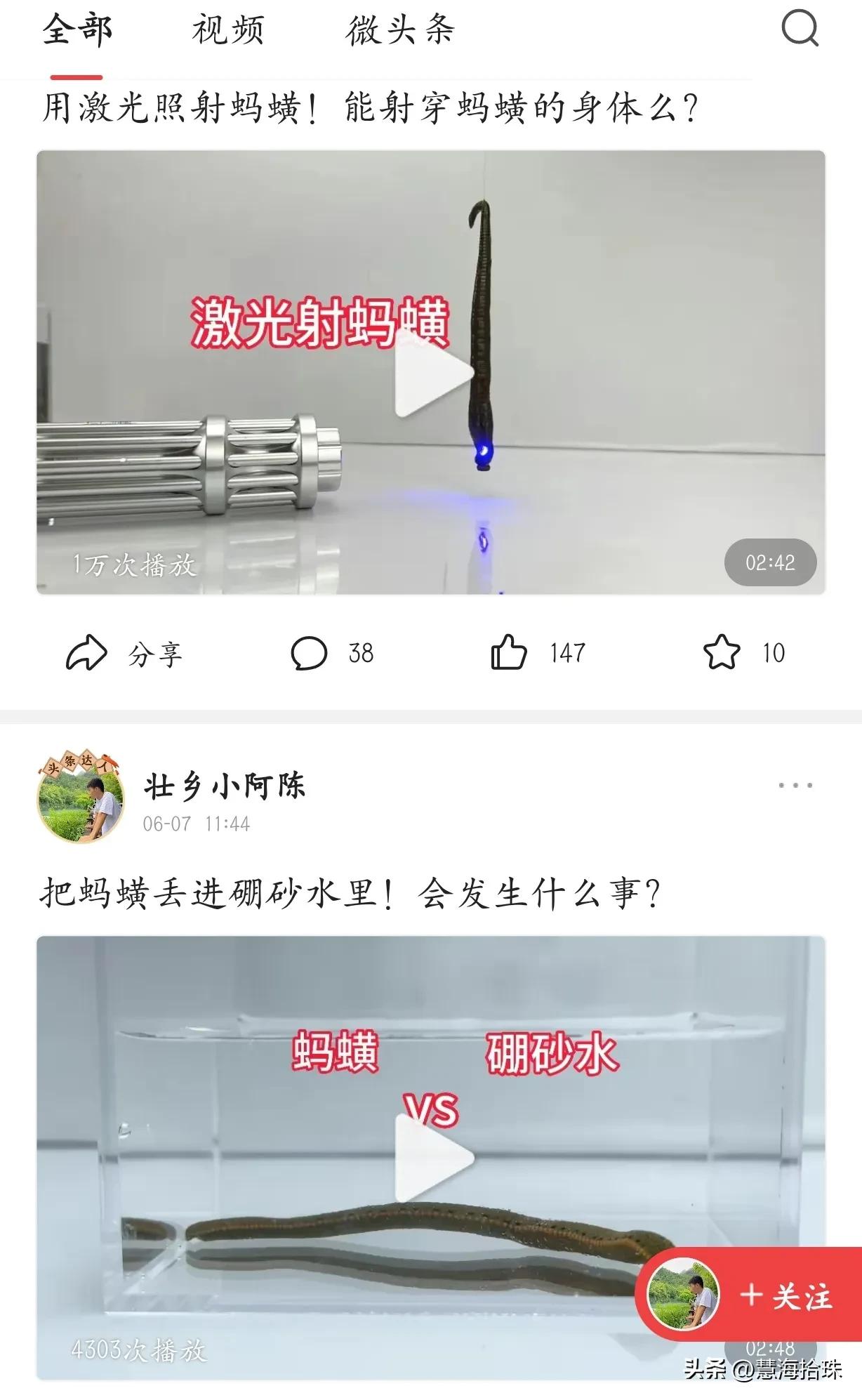 为什么有些人喜欢杀动物,为什么有人会虐猫或虐狗