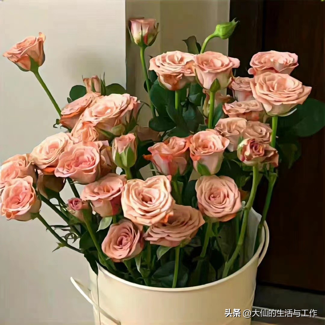 慢生活才是大智慧,慢中求快的意思