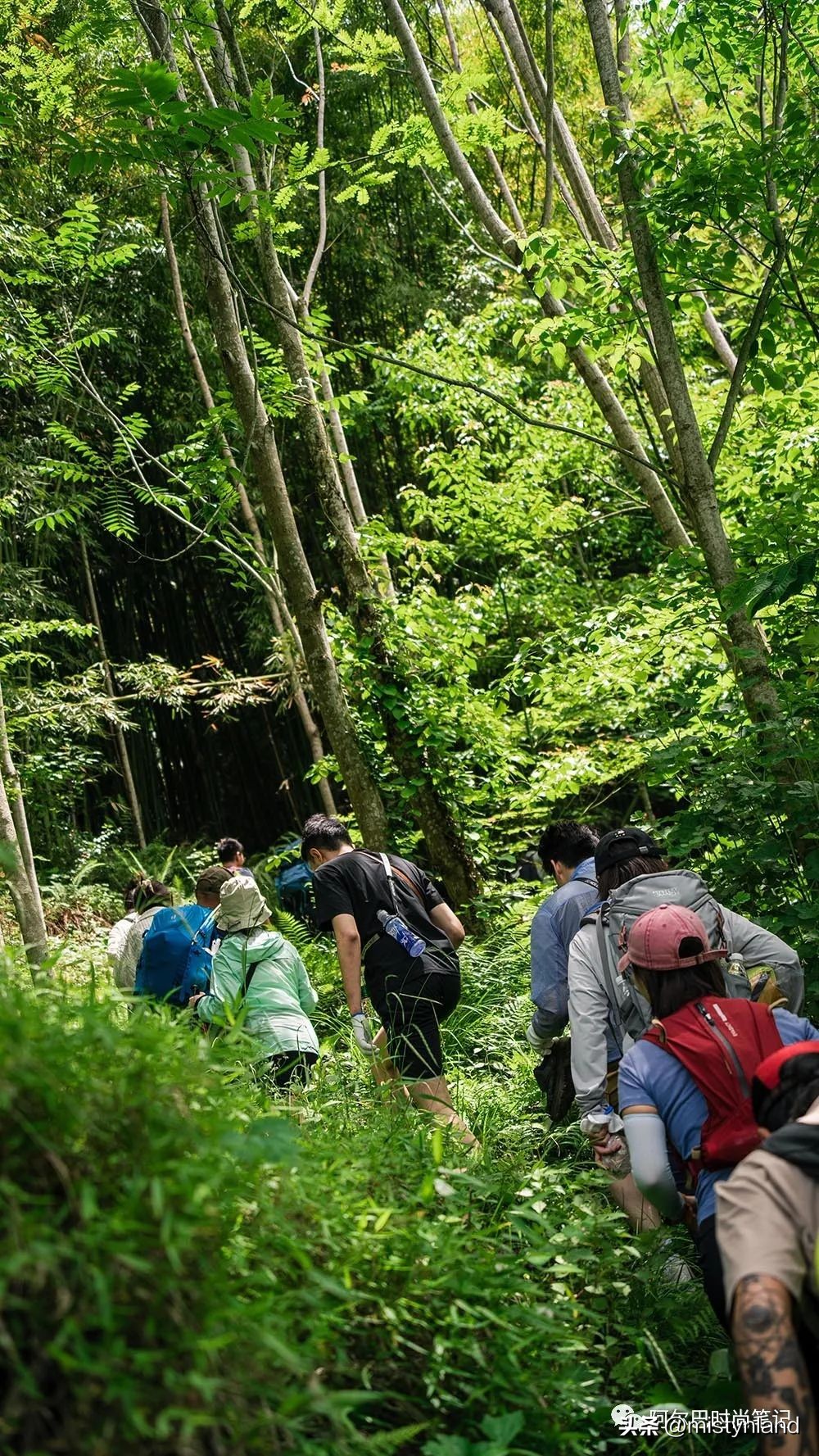 kolonsport可隆武汉,kolonsport可隆广州