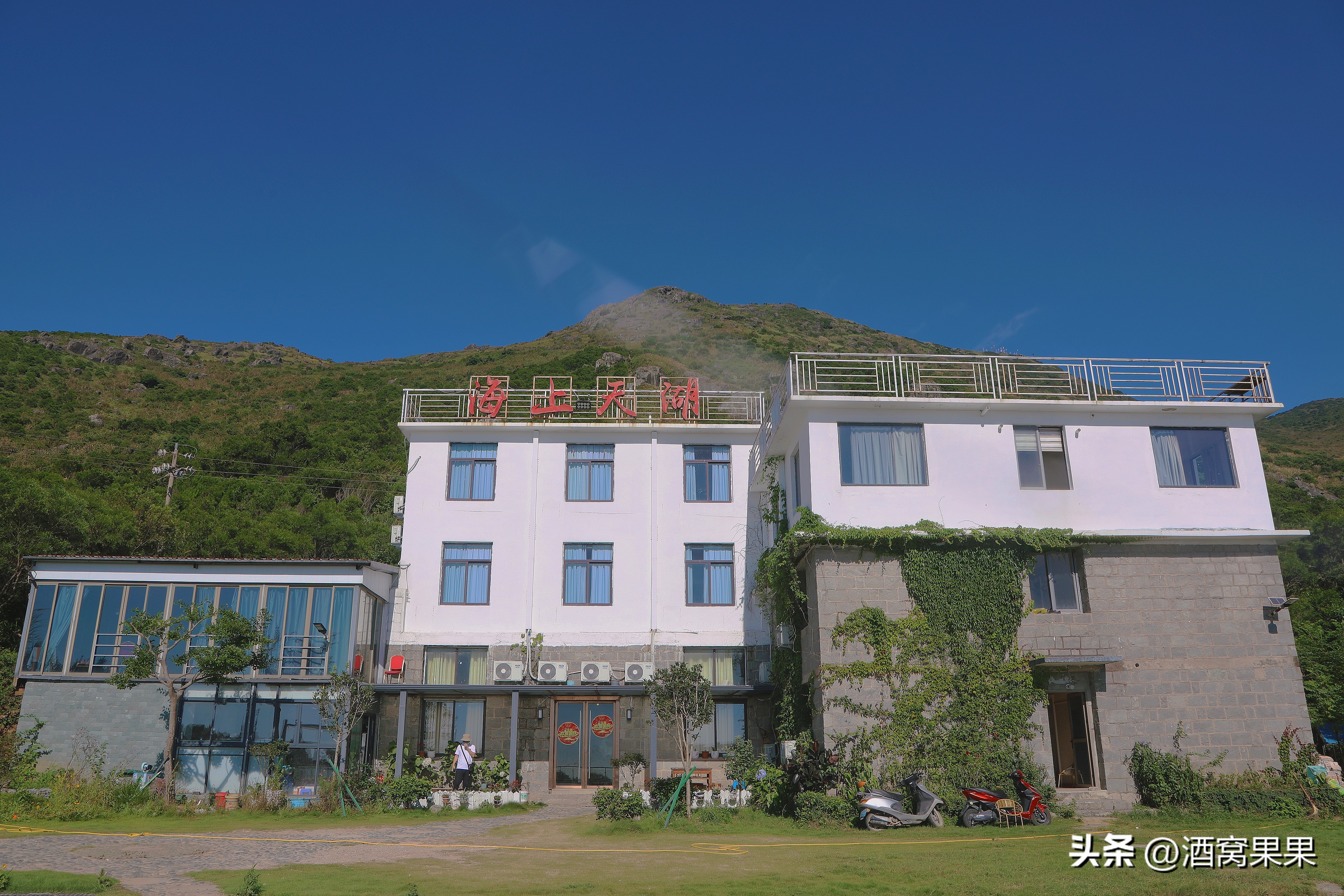 福鼎两天一夜旅游攻略,福鼎茶漫步茶园体验采茶之旅